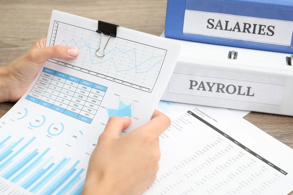 Payroll Outsourcing Services in India